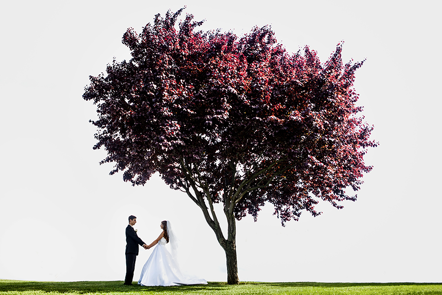Kelowna Wedding Photographers 026