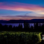 Charles & Stephanie’s Summerhill Pyramid Winery Wedding