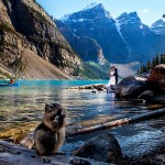 Amy & Terry’s Post Hotel Wedding in Lake Louise