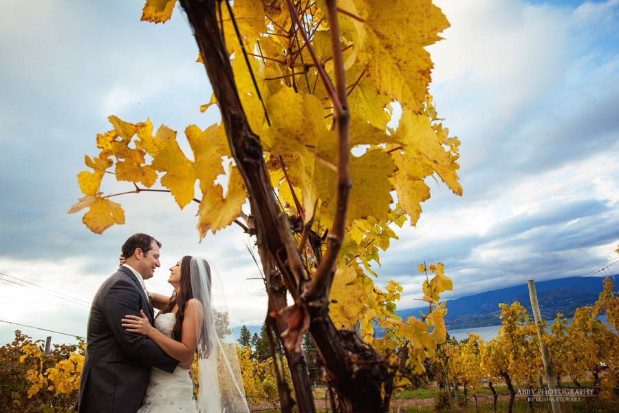 Summerhill Pyramid Winery Wedding -11