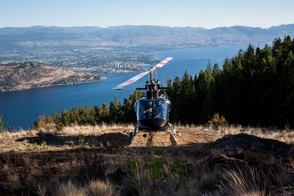 Helicopter Proposal Engagement 40