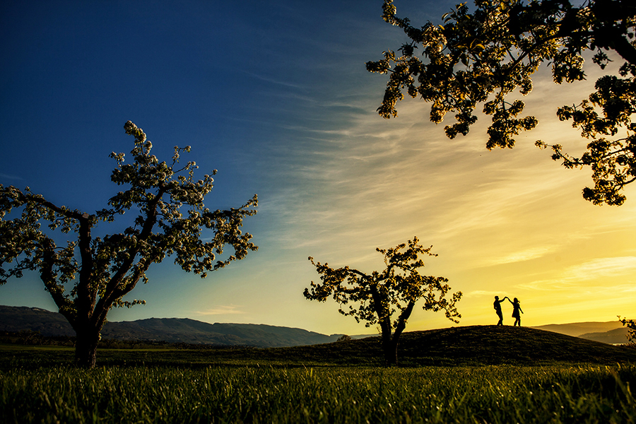 kelowna engagement photographers